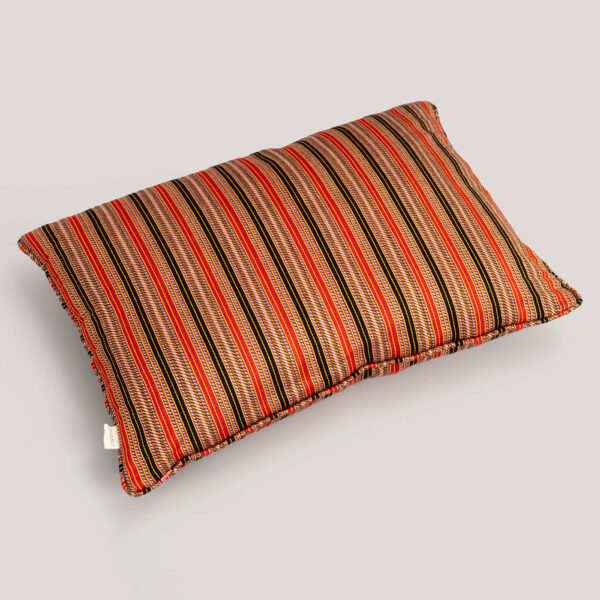 Leeya Red Multi Mashru Handwoven Cotton / Viscose Cushion Cover
