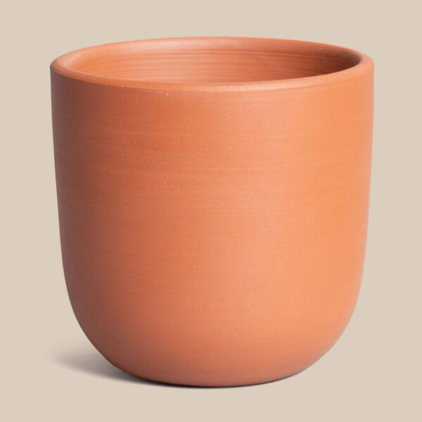 Shaani Terracotta Pottery Tumbler (Small)